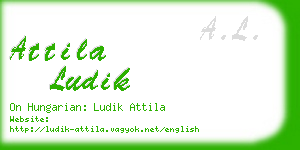 attila ludik business card